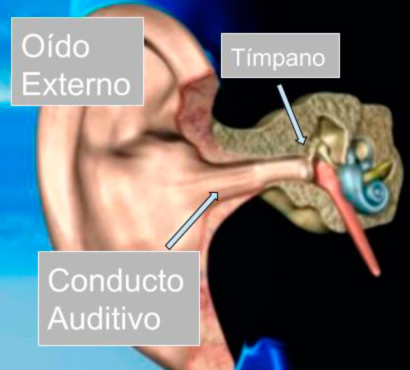 Los Mejores Otoscopios Profesionales 2024 14 Otoscopio partes oido externo