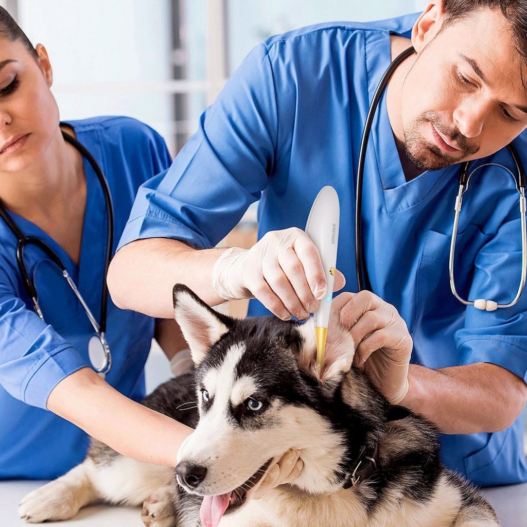 Otoscopio Wi-Fi SHENKEY 8 Shenkey Wifi veterinaria